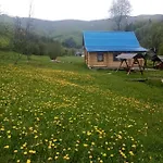лісовий