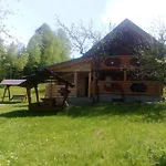 汽车旅馆 лісовий Bukovets