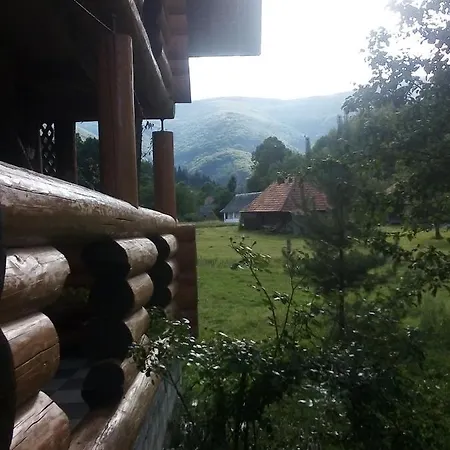 лісовий * Bukovets