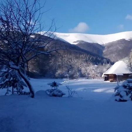 лісовий מוטל *