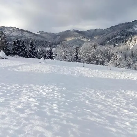 лісовий מוטל Bukovets