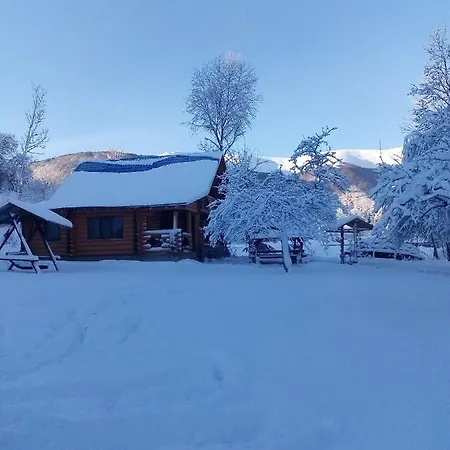 лісовий מוטל Bukovets
