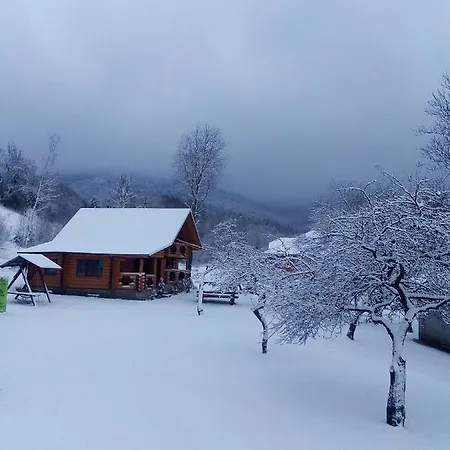 лісовий Motel