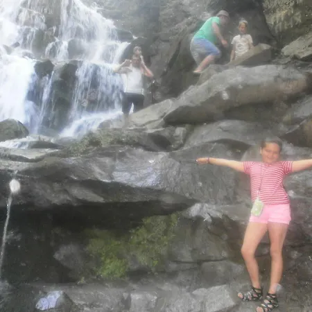 מוטל лісовий *