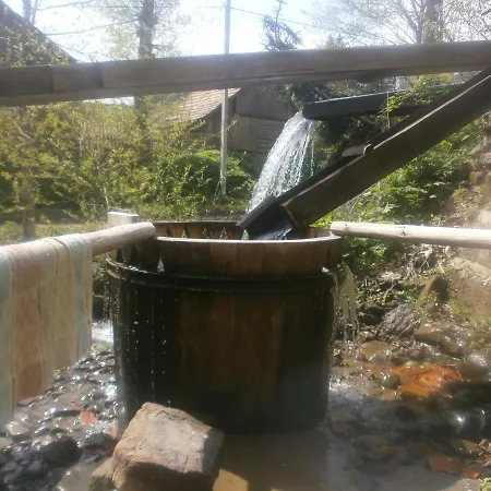 лісовий * Bukovets