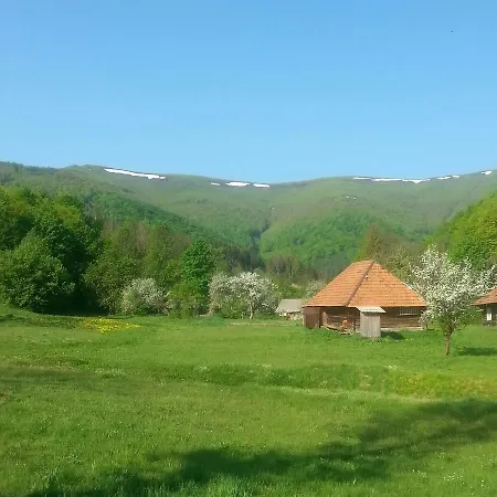 Motel лісовий