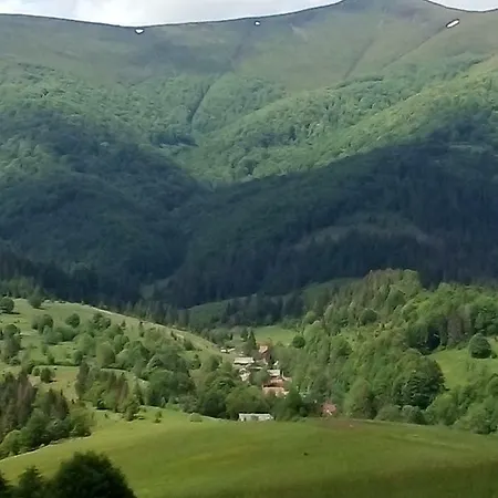 лісовий * Bukovets