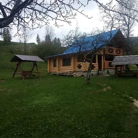 Motel лісовий Bukovets