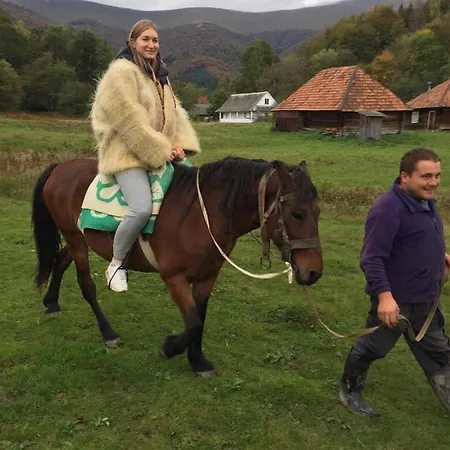 лісовий * Bukovets