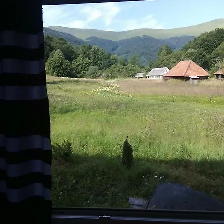 лісовий Motel *