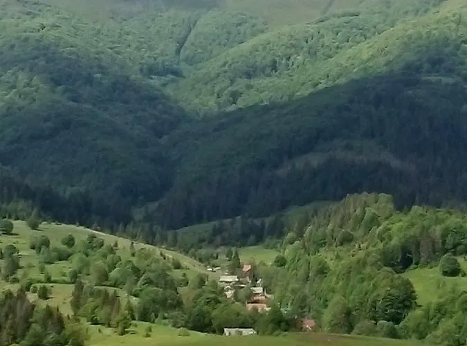 лісовий * Bukovets