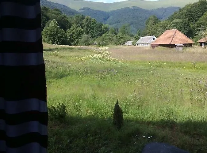 лісовий Motel *